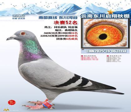 东川启翔决赛52名