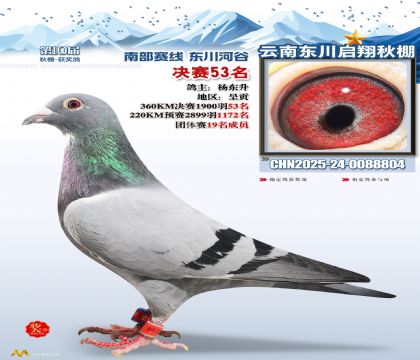 东川启翔决赛53名