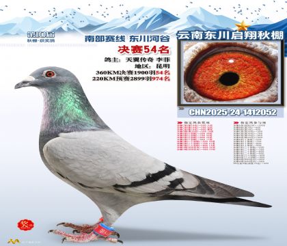 东川启翔决赛54名