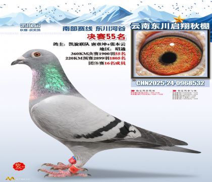 东川启翔决赛55名