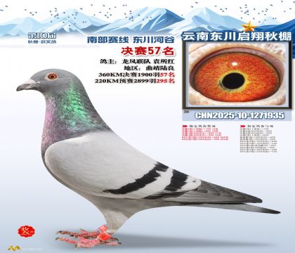 东川启翔决赛57名