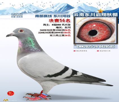 东川启翔决赛56名