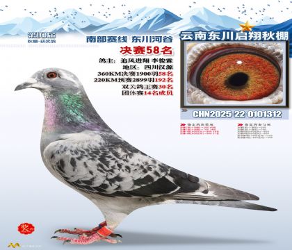 东川启翔决赛58名