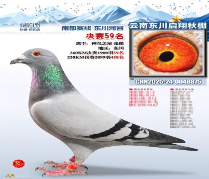 东川启翔决赛59名