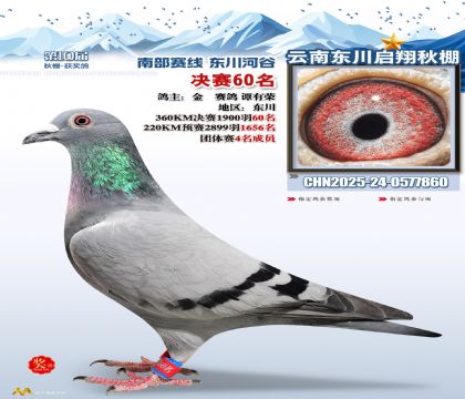 东川启翔决赛60名