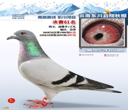 东川启翔决赛61名