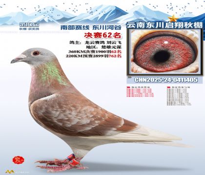 东川启翔决赛62名