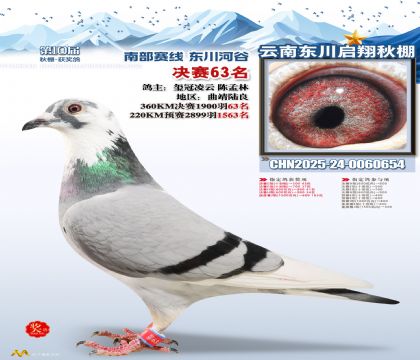 东川启翔决赛63名