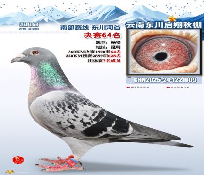 东川启翔决赛64名