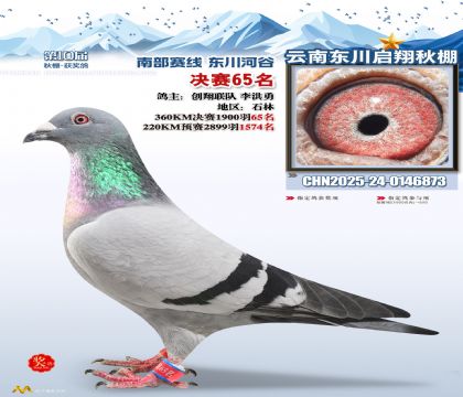 东川启翔决赛65名