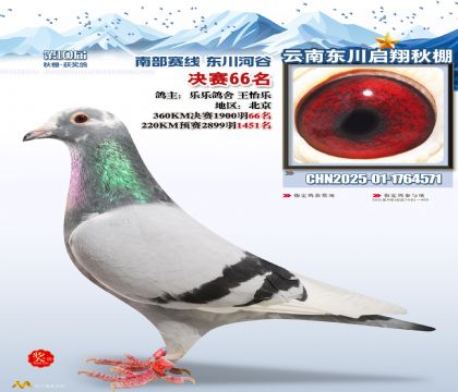 东川启翔决赛66名