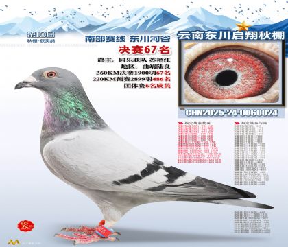 东川启翔决赛67名