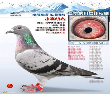 东川启翔决赛69名