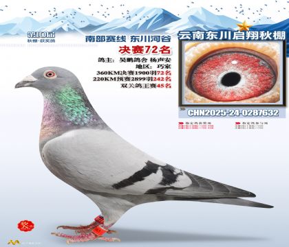 东川启翔决赛72名