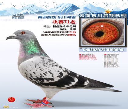 东川启翔决赛71名