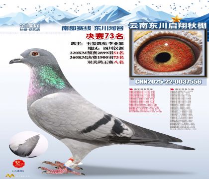 东川启翔决赛73名