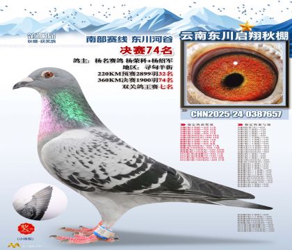 东川启翔决赛74名