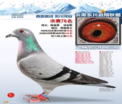 东川启翔决赛76名