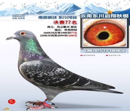 东川启翔决赛77名