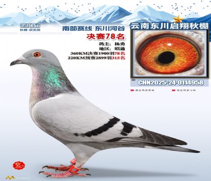 东川启翔决赛78名