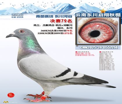 东川启翔决赛79名