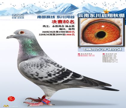 东川启翔决赛80名