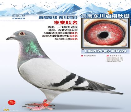 东川启翔决赛81名