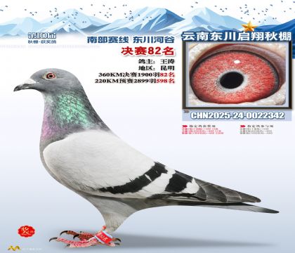 东川启翔决赛82名