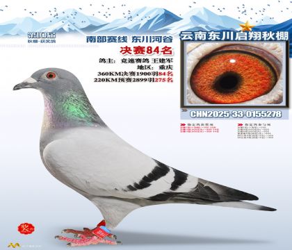 东川启翔决赛84名