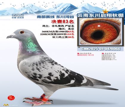 东川启翔决赛83名