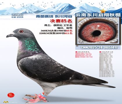 东川启翔决赛85名