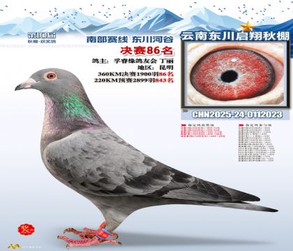 东川启翔决赛86名