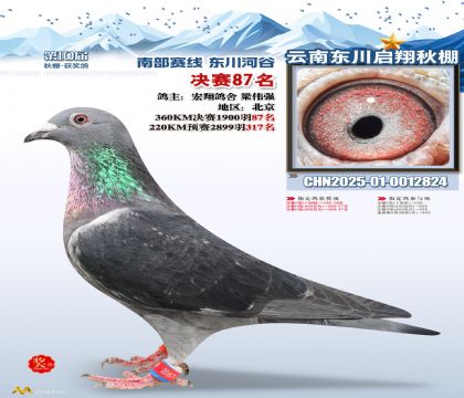 东川启翔决赛87名