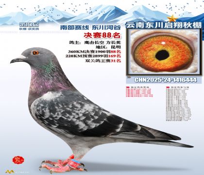 东川启翔决赛88名