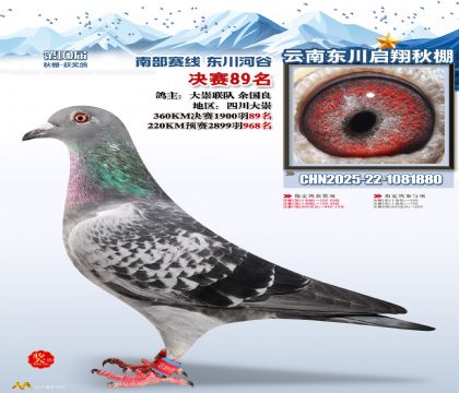 东川启翔决赛89名