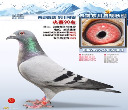 东川启翔决赛90名