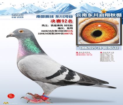 东川启翔决赛92名