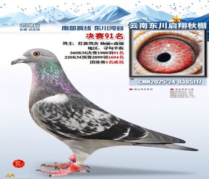 东川启翔决赛91名