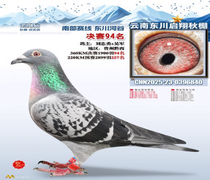 东川启翔决赛94名