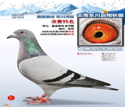 东川启翔决赛95名