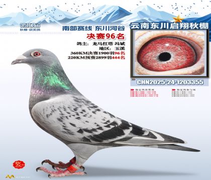 东川启翔决赛96名