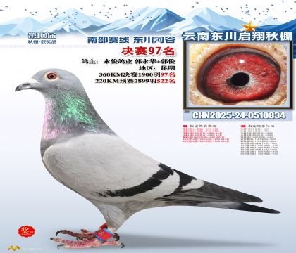 东川启翔决赛97名