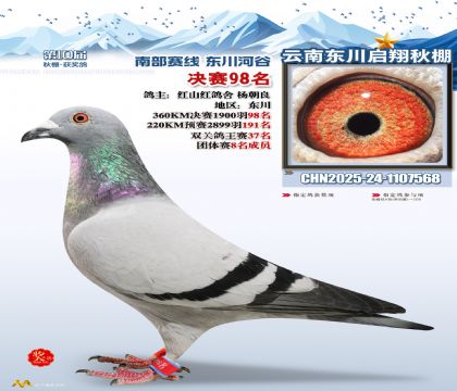 东川启翔决赛98名