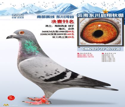 东川启翔决赛99名