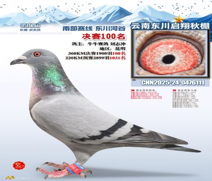 东川启翔决赛100名