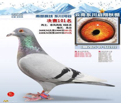 东川启翔决赛101名