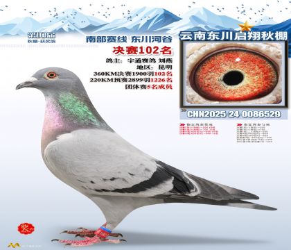 东川启翔决赛102名