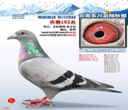 东川启翔决赛103名