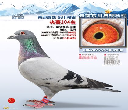 东川启翔决赛104名