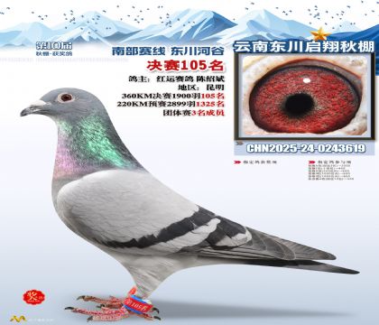 东川启翔决赛105名